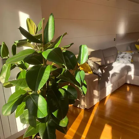 Appartement Singular Y Espacioso Ondarreta *
