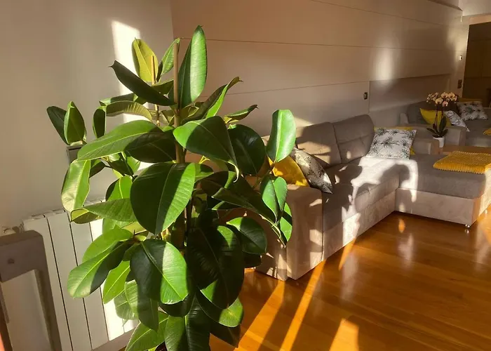 Appartement Ondarreta - Singular Y Exclusivo *